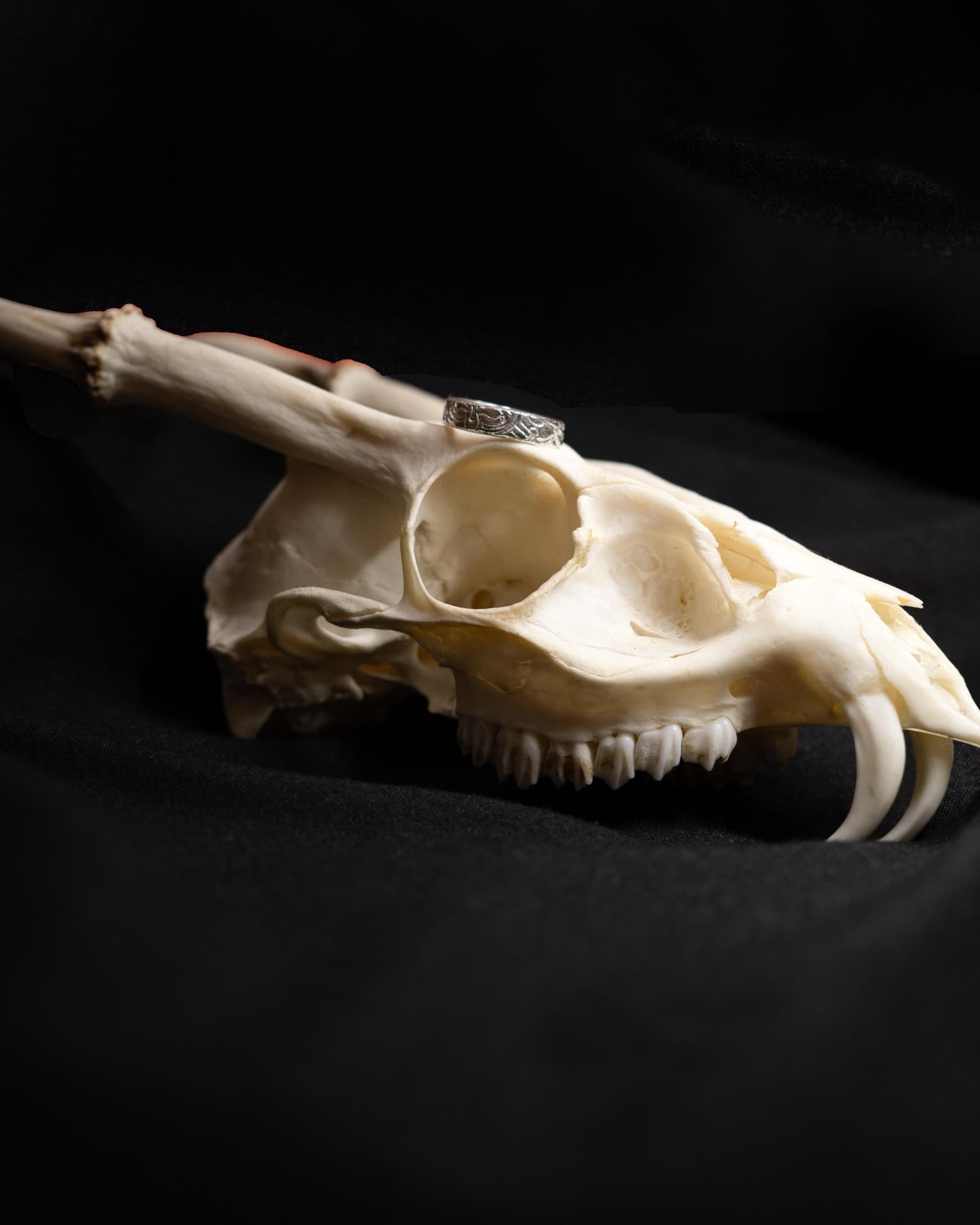 金工作品攝影 3