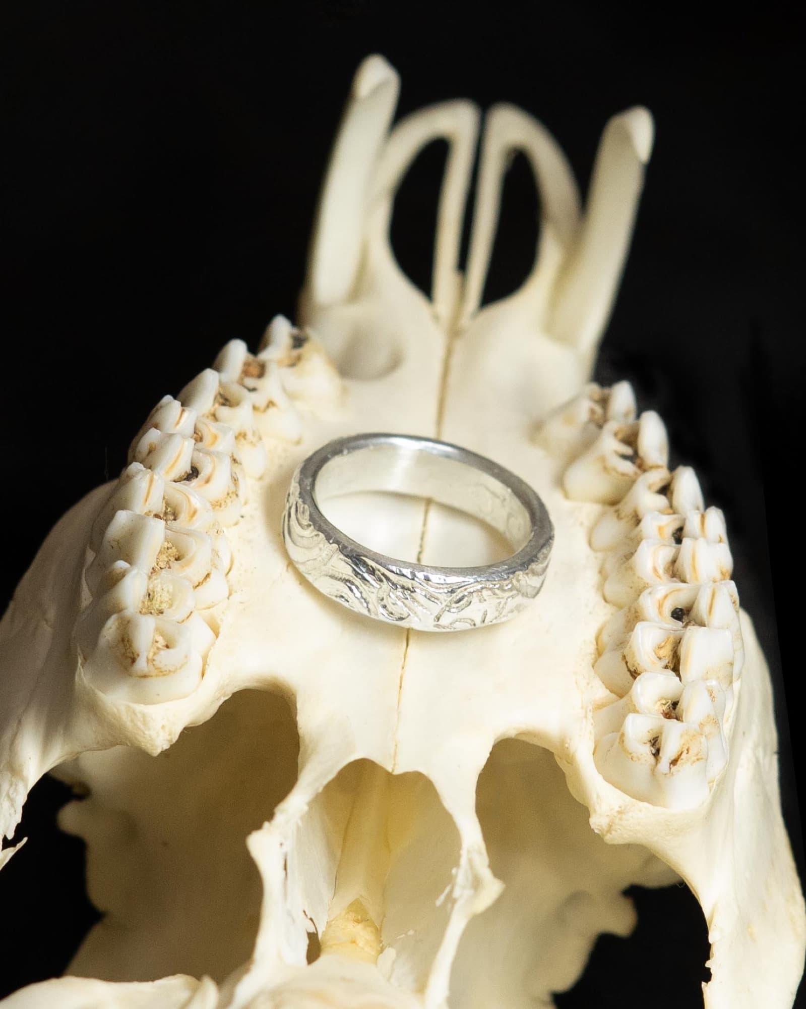 金工作品攝影 5